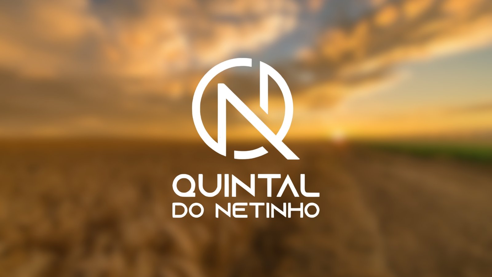 Quintal do Netinho