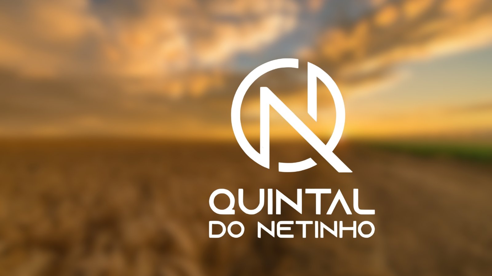 Quintal do Netinho